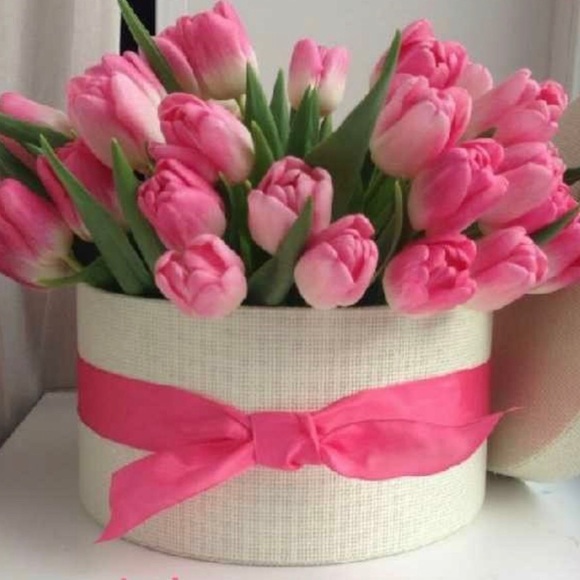 Meet your Posher, Mari - Picture 1 of 1